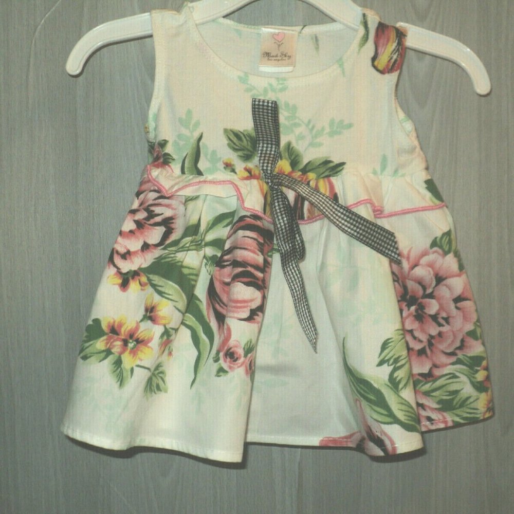 Mad Sky Tunic Top Girl's Infant's Size 18 Months Floral Sleeveless Ruffle Cotton